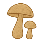 Gourmet Mushrooms
